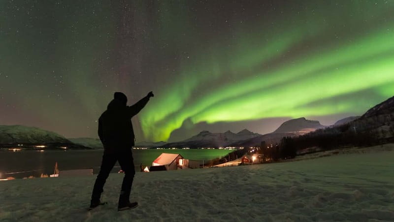 Tromsø: Aurora Safari Chase by big bus with Camp meal - Who this tour suits best in Tromsø