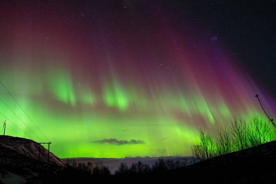 Tromsø: Aurora Tour with Photos, Campfire and Arctic Food - Itinerary Details That Shape the Whole Night