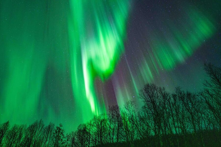 Tromsø: Aurora Tour with Photos, Campfire and Arctic Food - Duration and Expectations: Why It’s Up to 6 to 8 Hours