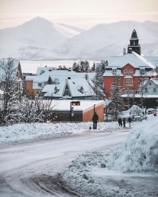 Tromsø: Capture the most Photogenic Spots with a Local - How a 1.5 Hour “Photo Route With a Local” Actually Works