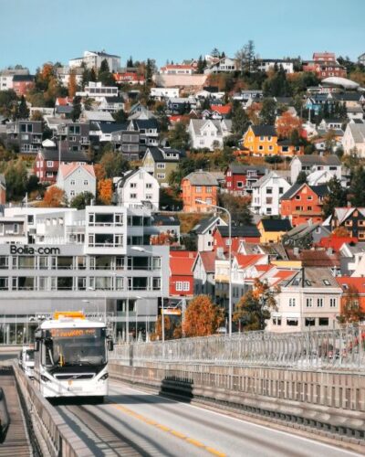 Capture the most Photogenic Spots with a Local