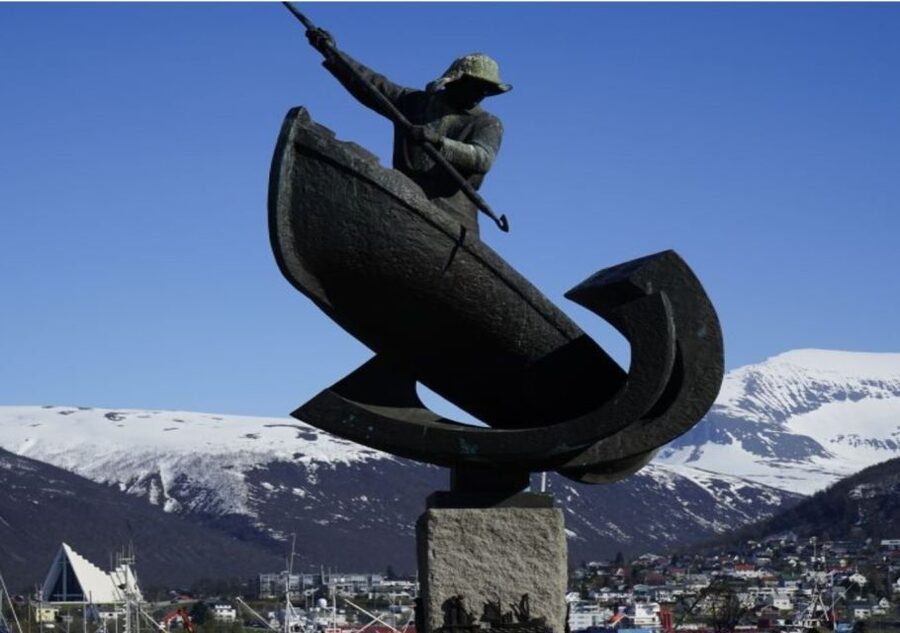 Tromso: City Highlights Guided Walking Tour - Pace, weather gear, and comfort tips that matter