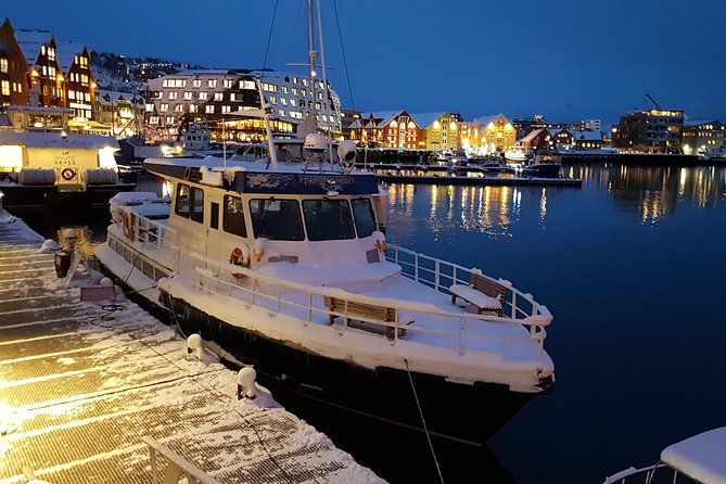 Tromsø City Walk - A Smart Start for Your Tromsø Trip: Street Level Beats Checklists