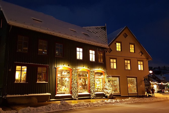Tromsø City Walk - What You Actually Get in This 2-Hour Private Walk