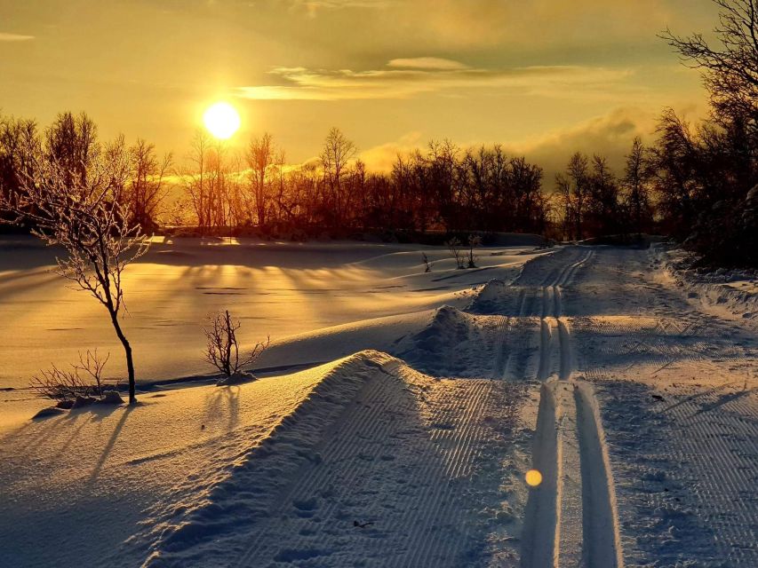 Tromsø: Cross Country Guided Skiing Course - Langrenn in Tromsø: why this half-day feels local