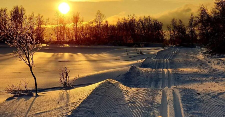 Tromsø: Cross Country Guided Skiing Course - Prestvannet Lake break: where you catch your breath and warm up