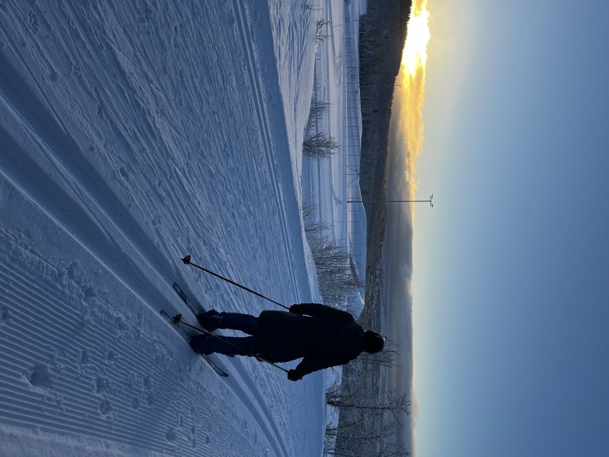Tromsø: Cross Country Guided Skiing Course - What the $99 gets you in 2.5 hours