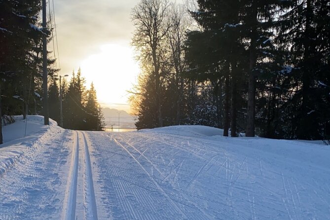 Tromsø Cross-Country Ski Adventure - Quick takeaways before you go
