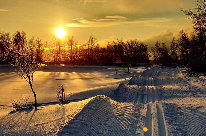 Tromsø Cross-Country Ski Adventure - Tromsø Langrenn Basics: What This 2.5 to 3 Hour Session Really Covers
