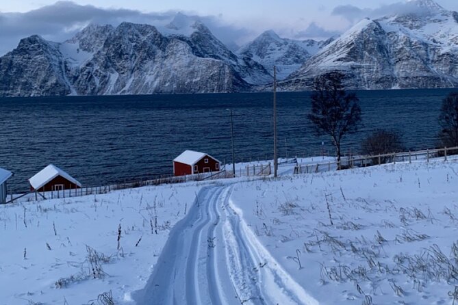 Tromsø Cross-Country Ski Adventure - The Warm Drink Break: Norwegian Sweet Treats and a Real Mid-Session Reset