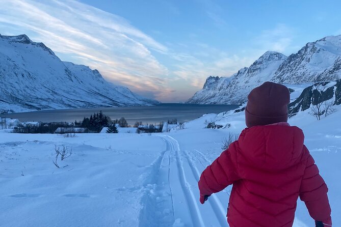 Tromsø Cross-Country Ski Adventure - Equipment and Arctic Safety: What to Watch for on the Icy Parts