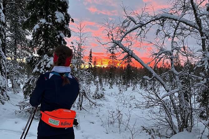 Tromsø Cross-Country Ski Adventure - Price in Context: Is $128.03 Worth It for Tromsø Nordic Skiing?