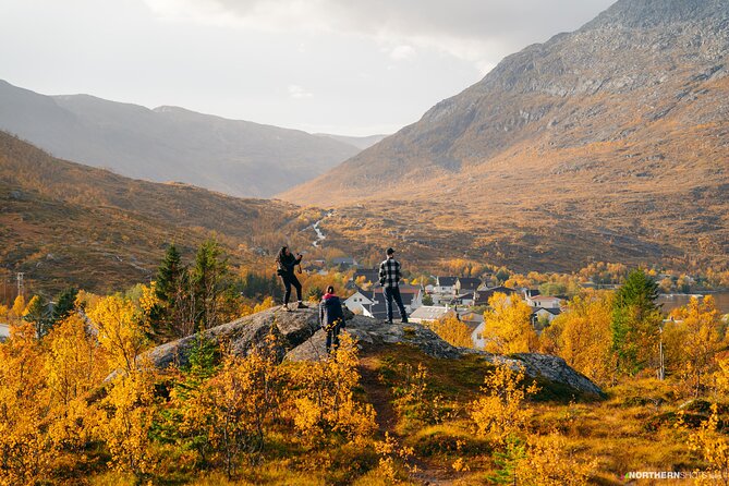 Tromsø: Day trip to the island of Sommarøy through the Fjords - Tromsø to Sommarøy: why the fjords-and-coast drive is the star