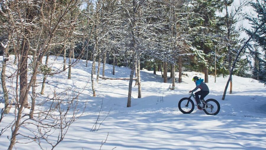 Tromsø: Electric fatbike trip on winter paths - Entering Tromsømarka, without leaving the city behind