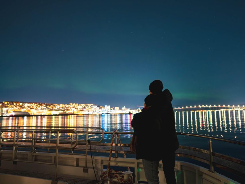 Tromsø: Electric Northern Lights Cruise - Who This Cruise Is Best For (And Who Might Want Another Plan)