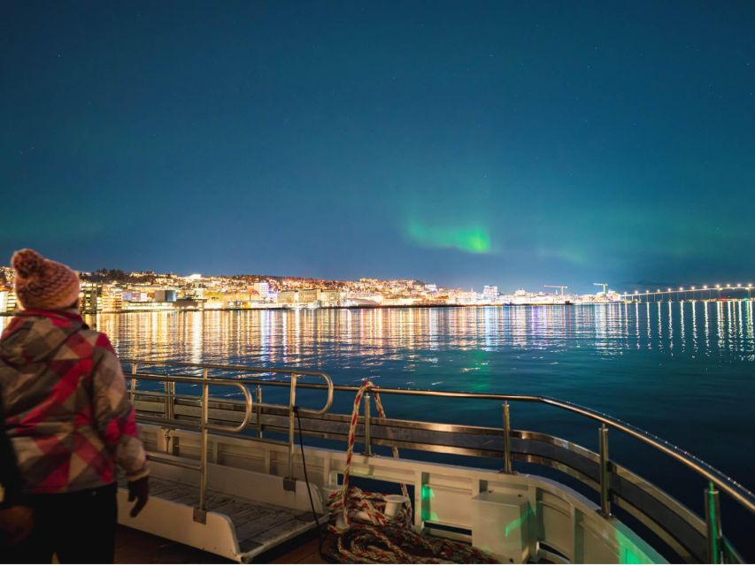 Tromsø: Electric Northern Lights Cruise - Price and Value: What $124 Buys You in the Arctic