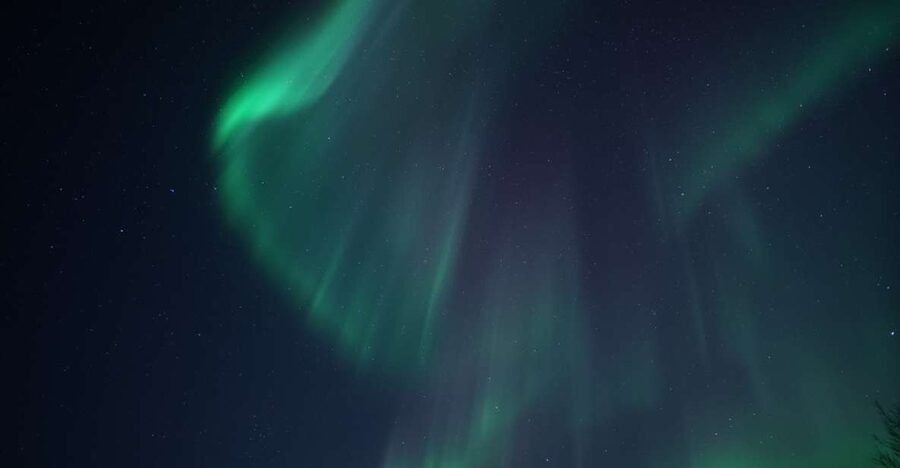 Tromsø: Evening Aurora Cruise (dinner optional) - Key things to know before you book