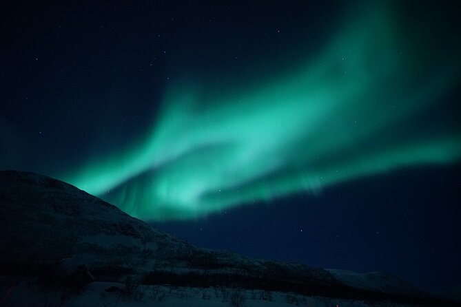 Tromsø: Evening Cruise with Northern Lights Opportunity - Key Points Before You Go