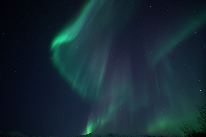 Tromsø: Evening Cruise with Northern Lights Opportunity - Evening Northern Lights by Boat: The Tromsø Angle That Works