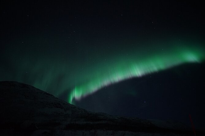 Tromsø: Evening Cruise with Northern Lights Opportunity - Your 8:00 pm Plan: How the Cruise Runs in Real Life