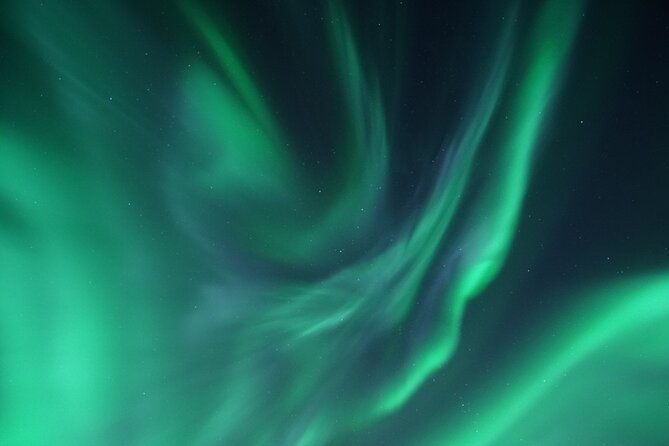 Tromsø: Evening Cruise with Northern Lights Opportunity - Northern Lights: The Hunt, the Clouds, and No-Drama Expectations