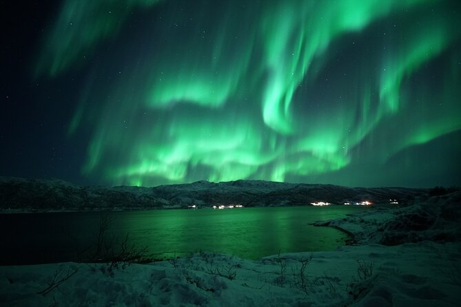 Tromsø: Evening Cruise with Northern Lights Opportunity - Price and What You Actually Get for $128.52