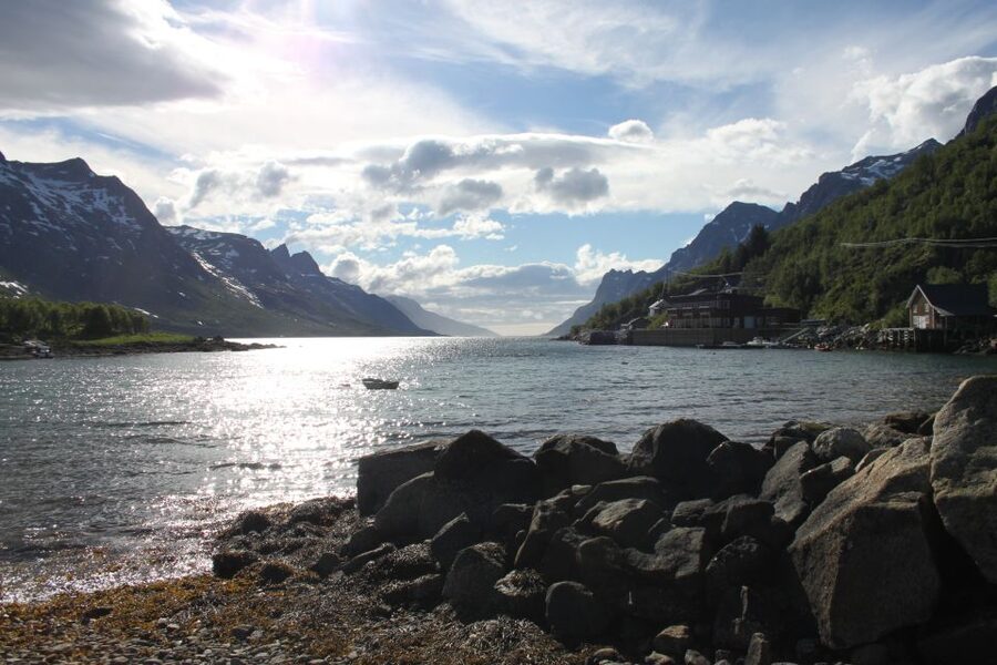 Tromsø: Exclusive Fjord Adventure by Bus - What to wear and pack for the stops, not just the bus