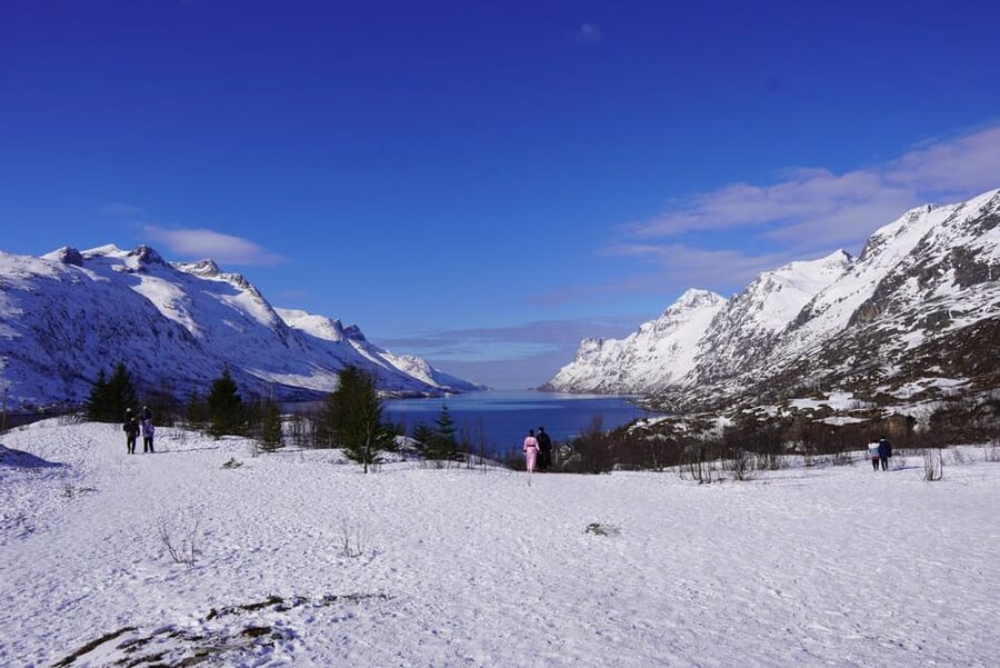 Tromsø: Exclusive Fjord Adventure by Bus - The Fjord Route: Kaldfjord, Ersfjordbotn, and Grotfjord Stop by Stop
