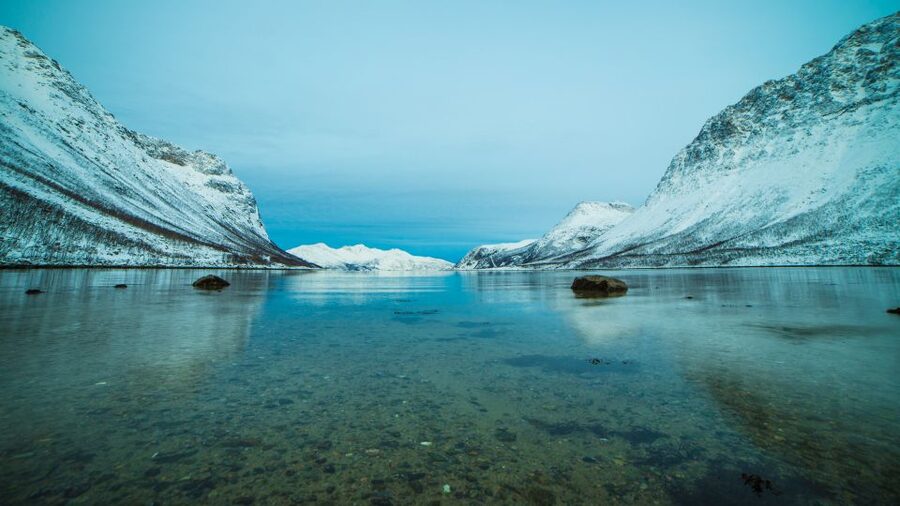 Tromsø: Exclusive Fjord Adventure by Bus - Wildlife and Photo Stops: What You Can Expect in the Arctic