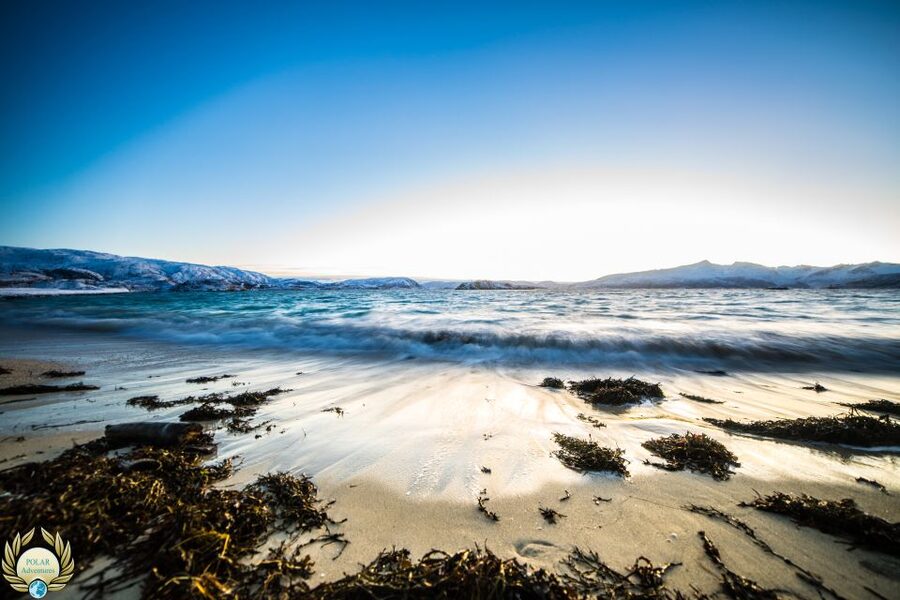 Tromsø: Exclusive Fjord Adventure by Bus - Price and Value: Is $129 for This Half-Day Fair?