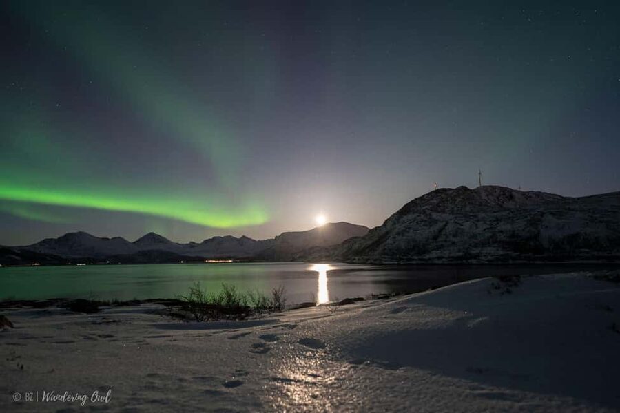 Tromsø: Express Aurora Hunt - Express Aurora timing that protects your flight or cruise