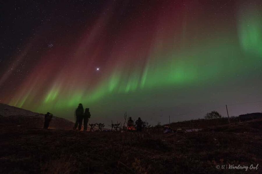 Tromsø: Express Aurora Hunt - What happens during the 4-hour hunt, and how the timing feels