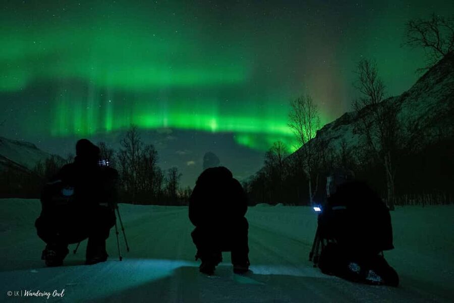 Tromsø: Express Aurora Hunt - Northern Lights reality check, and what you can control