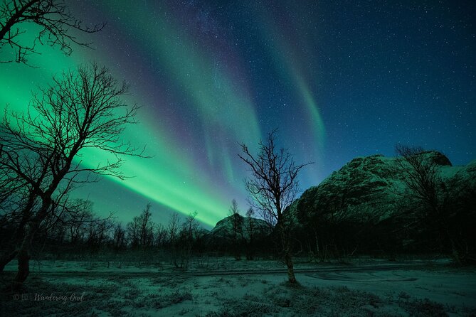 Tromsø: Express Aurora Hunt with Wandering Owl - Warmth and Extras You Will Feel Fast