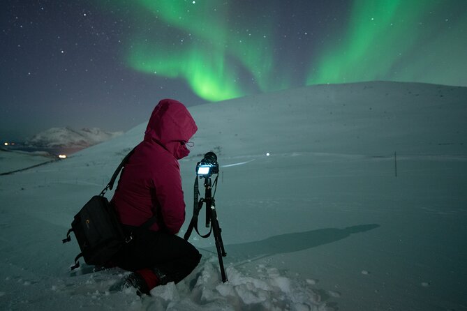 Tromsø: Express Aurora Hunt with Wandering Owl - The Guide Factor: Real Stories, Real Science, and Names You May Recognize