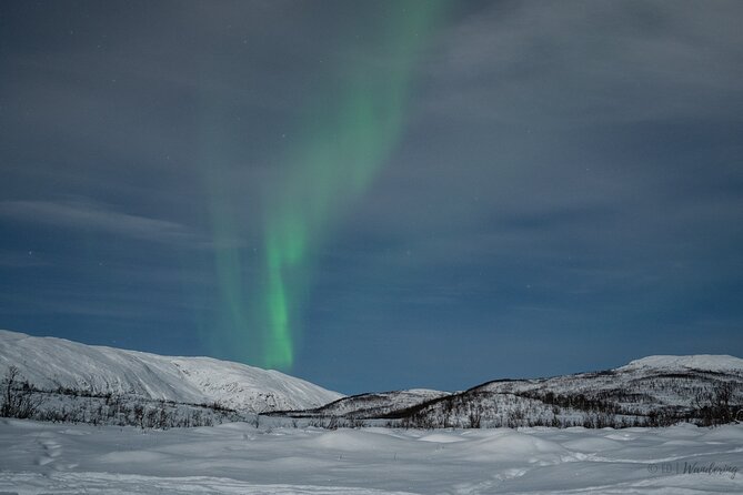 Tromsø: Express Aurora Hunt with Wandering Owl - Photo Reality: You Can Buy Them, But It Is Not Free
