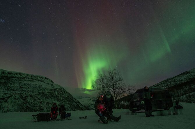 Tromsø: Express Aurora Hunt with Wandering Owl - The 4-Hour Plan, Pickup Details, and What the Small Group Adds