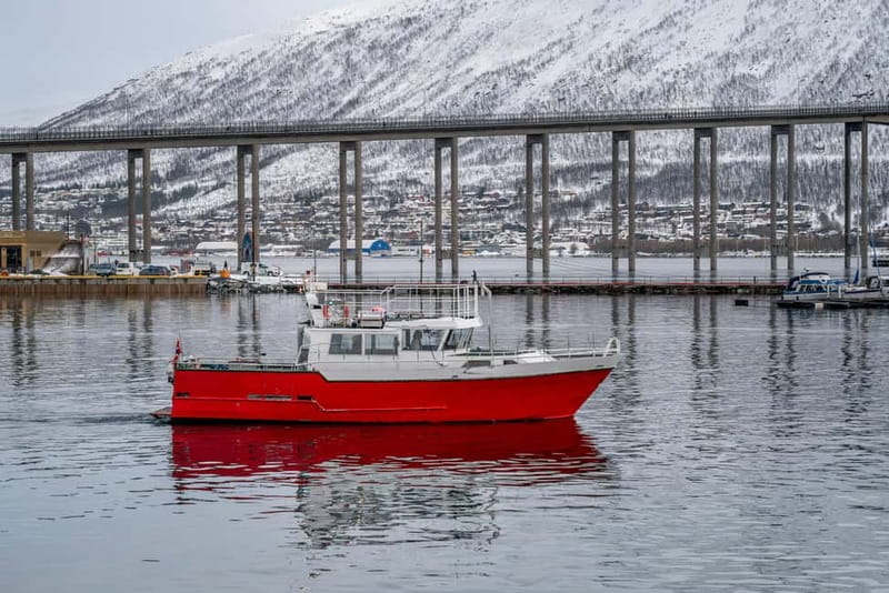 Tromsø: Fishing Sea Safari - Key Things That Make This Tour Worth Your Time