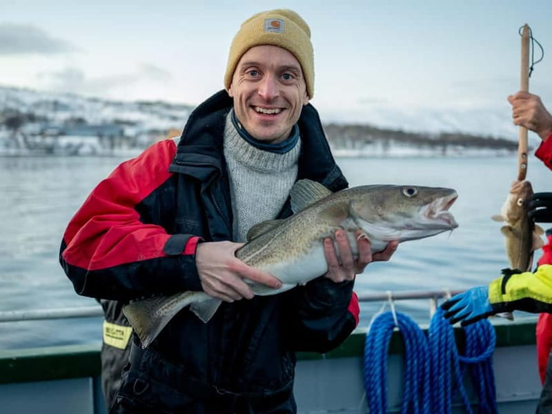 Tromsø: Fishing Sea Safari - Fishing Setup That Gets You Holding the Rod