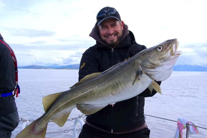 Tromsø: Fishing Sea Safari - How to Judge the Price: Is $199 Good Value?