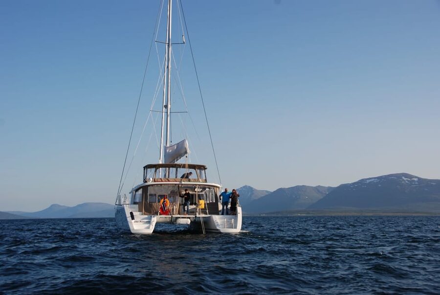 Tromsø: Fjord and Islands Luxury Catamaran Cruise - Inside comfort vs cold deck time: how to enjoy both