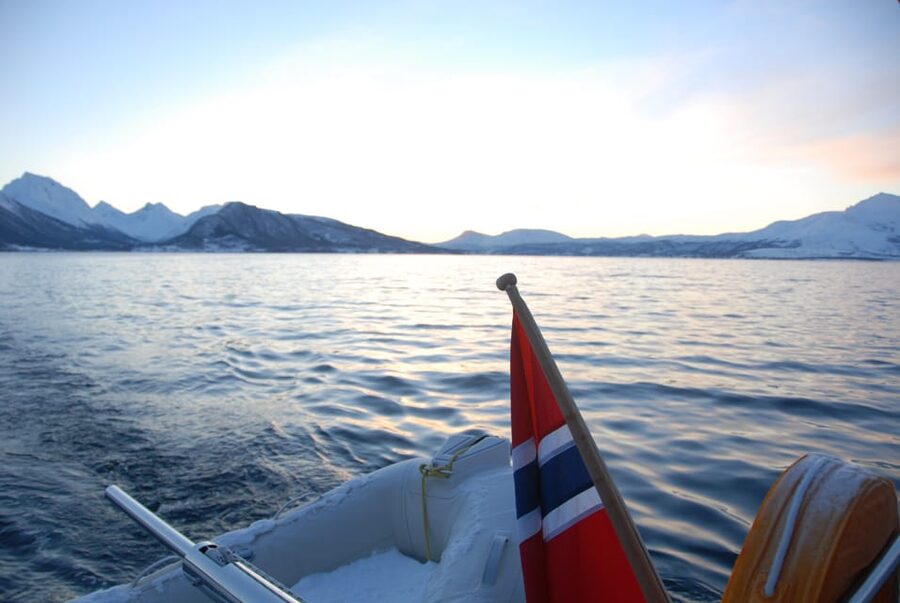 Tromsø: Fjord and Islands Luxury Catamaran Cruise - Guides and small-group energy: stories, humor, and safety