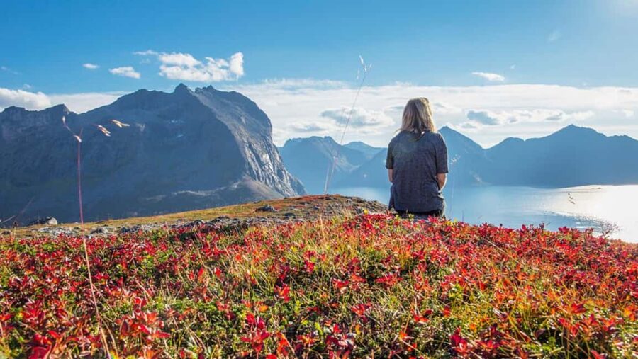 Tromso: Fjord Arctic Adventure Expedition - The 5-Hour Rhythm: Relaxed Pace, Many Photo Pauses