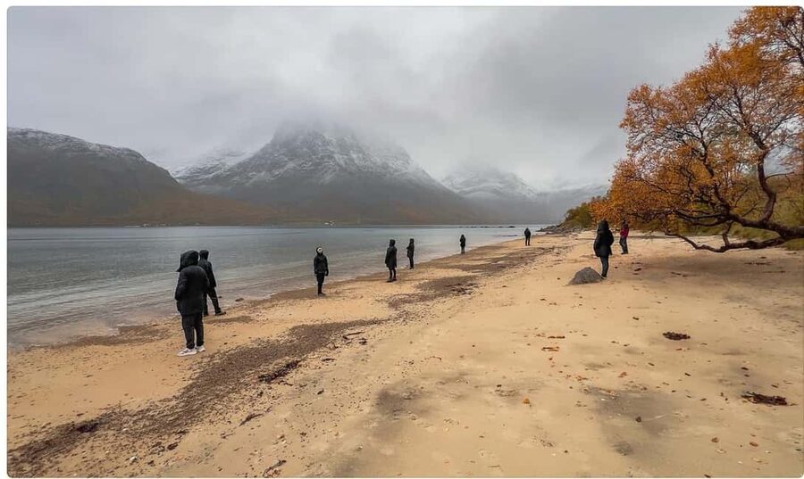 Tromso: Fjord Arctic Adventure Expedition - Wildlife Chances: How Reindeer and Birds Fit Into the Day