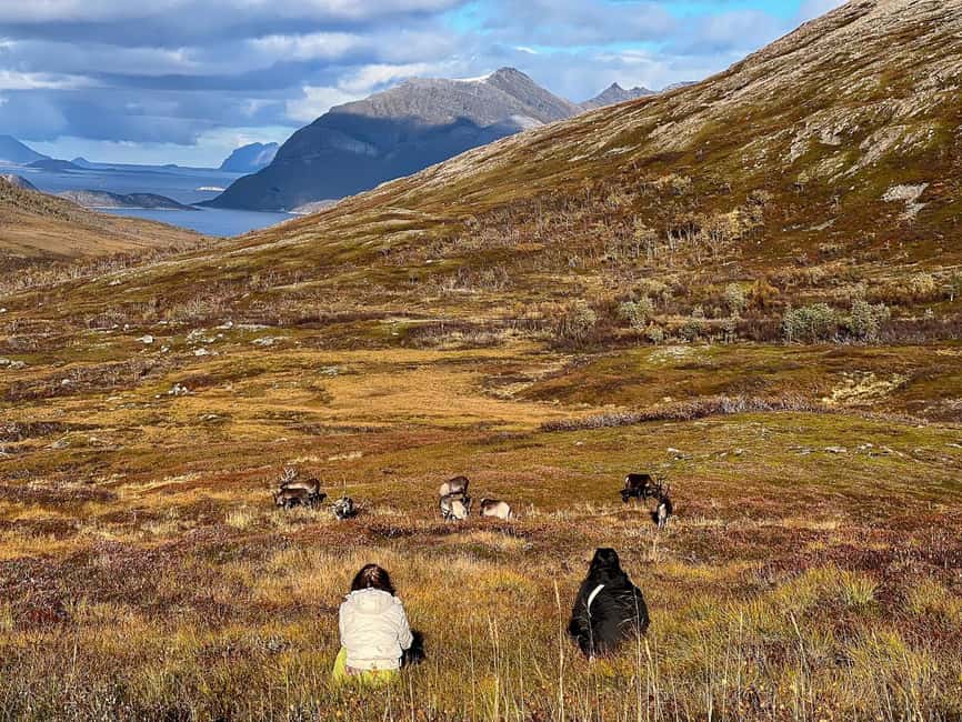 Tromso: Fjord Arctic Adventure Expedition - Weather, Daylight, and Pairing With Aurora Night