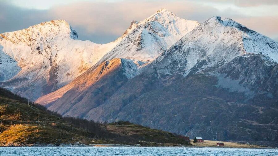 Tromso: Fjord Arctic Adventure Expedition - Meet the Guides, Especially Dominic and Pepe