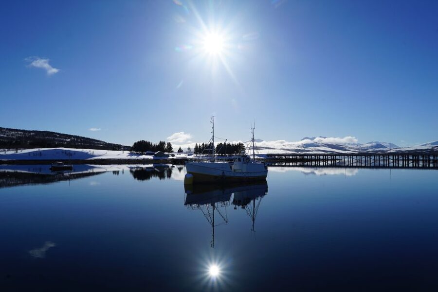 Tromsø: Fjord Cruise by Luxury Yacht - Price and value: is $236 a good deal for this Arctic-style outing?
