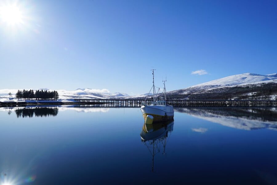 Tromsø: Fjord Cruise by Luxury Yacht - Fishing and captaining time: when the cruise becomes hands-on