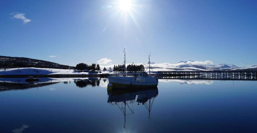 Tromsø: Fjord Cruise by Luxury Yacht - The onboard fish soup lunch: why it’s more than a meal