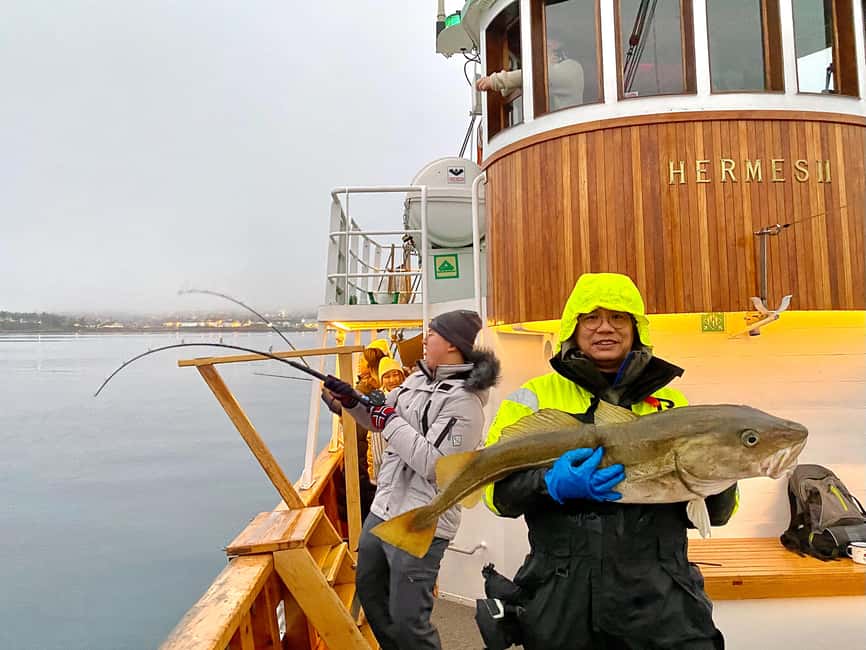 Tromsø: Fjord Fishing Cruise - Fishing rods, sharing time, and how beginners actually succeed